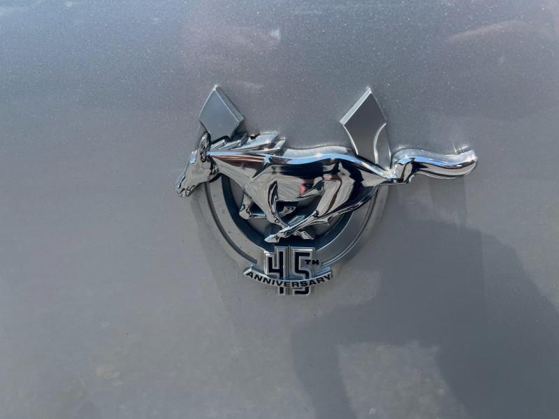 2009 Ford Mustang GT Premium CONV. V8, available for sale in Maple Shade, New Jersey | Car Revolution. Maple Shade, New Jersey 2009 Ford Mustang GT Premium CONV. V8, available for sale in Maple Shade, New Jersey | Car Revolution. Maple Shade, New Jersey
