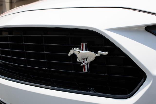 2019 Ford Mustang GT Premium California Special Edition, available for sale in Yonkers, New York | Westchester Auto Group. Yonkers, New York 2019 Ford Mustang GT Premium California Special Edition, available for sale in Yonkers, New York | Westchester Auto Group. Yonkers, New York