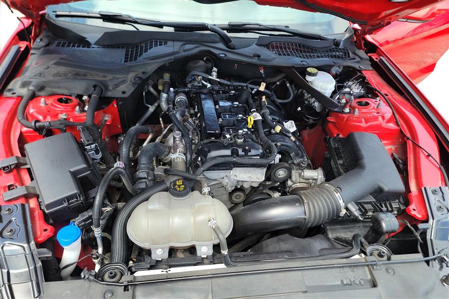 2022 Ford Mustang EcoBoost Premium Convertible, available for sale in Lindenhurst, New York | Power Motor Group. Lindenhurst, New York 2022 Ford Mustang EcoBoost Premium Convertible, available for sale in Lindenhurst, New York | Power Motor Group. Lindenhurst, New York