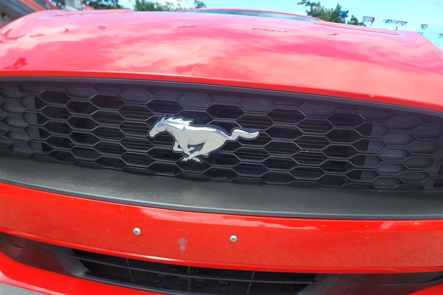2022 Ford Mustang EcoBoost Premium Convertible, available for sale in Lindenhurst, New York | Power Motor Group. Lindenhurst, New York 2022 Ford Mustang EcoBoost Premium Convertible, available for sale in Lindenhurst, New York | Power Motor Group. Lindenhurst, New York