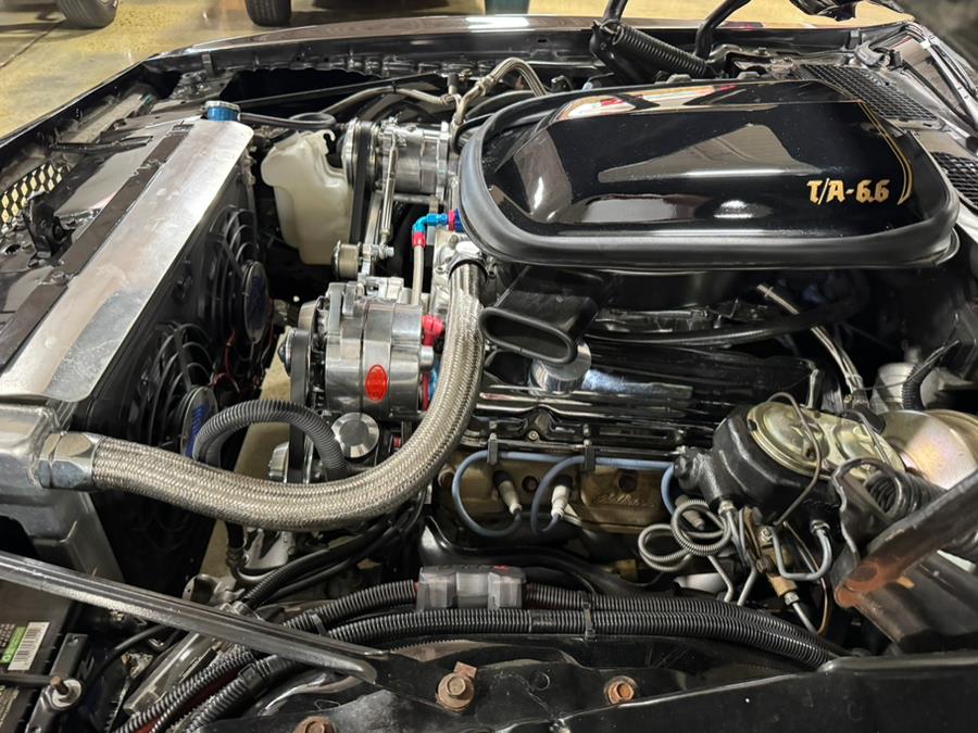 1977 Pontiac Trans Am Firebird, available for sale in Bridgeport, Connecticut | CT Auto. Bridgeport, Connecticut 1977 Pontiac Trans Am Firebird, available for sale in Bridgeport, Connecticut | CT Auto. Bridgeport, Connecticut