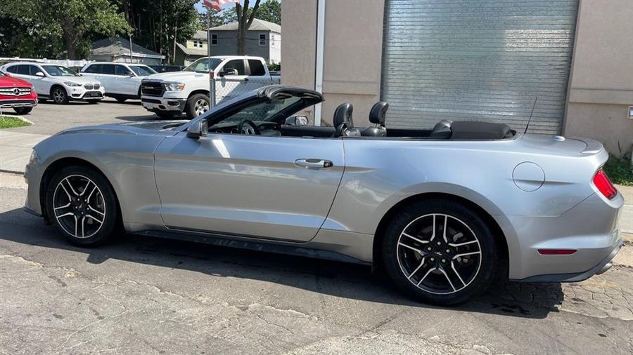 2023 Ford Mustang EcoBoost Premium, available for sale in Hempstead, New York | Certified Auto Group. Hempstead, New York 2023 Ford Mustang EcoBoost Premium, available for sale in Hempstead, New York | Certified Auto Group. Hempstead, New York