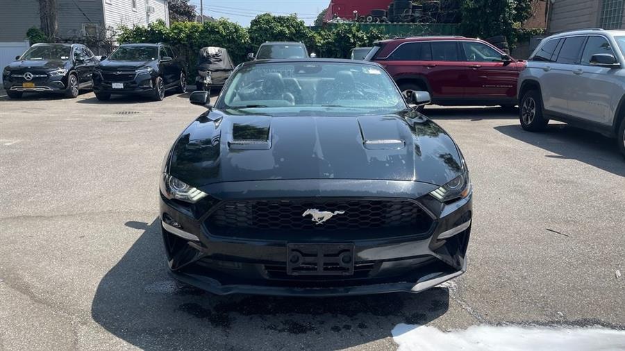 2023 Ford Mustang EcoBoost Premium, available for sale in Hempstead, New York | Certified Auto Group. Hempstead, New York 2023 Ford Mustang EcoBoost Premium, available for sale in Hempstead, New York | Certified Auto Group. Hempstead, New York