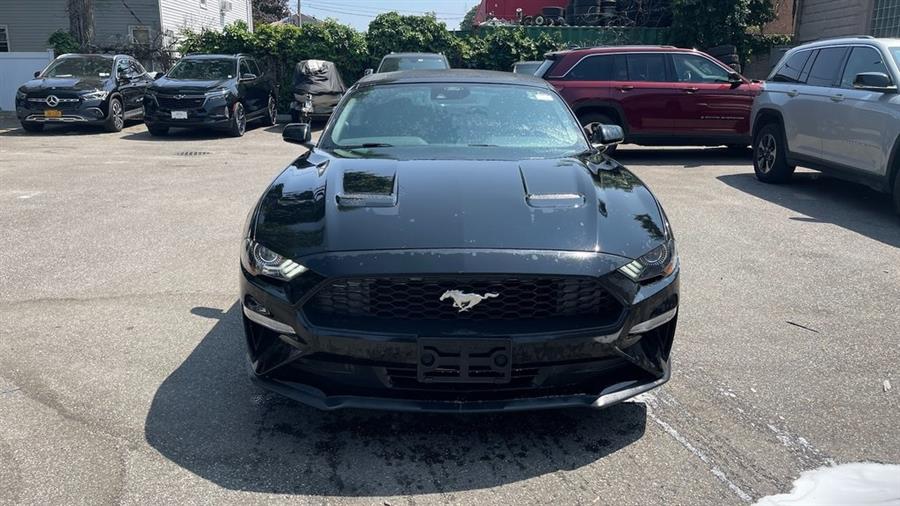 2023 Ford Mustang EcoBoost Premium, available for sale in Hempstead, New York | Certified Auto Group. Hempstead, New York 2023 Ford Mustang EcoBoost Premium, available for sale in Hempstead, New York | Certified Auto Group. Hempstead, New York