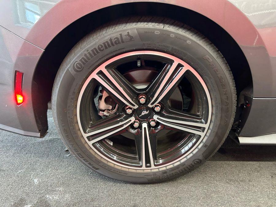 2025 Ford Mustang EcoBoost Coupe 2D, available for sale in Garfield, New Jersey | Urban Motors Collection. Garfield, New Jersey 2025 Ford Mustang EcoBoost Coupe 2D, available for sale in Garfield, New Jersey | Urban Motors Collection. Garfield, New Jersey