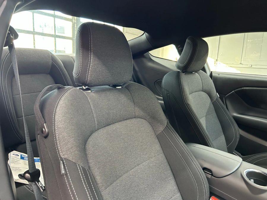 2025 Ford Mustang EcoBoost Coupe 2D, available for sale in Garfield, New Jersey | Urban Motors Collection. Garfield, New Jersey 2025 Ford Mustang EcoBoost Coupe 2D, available for sale in Garfield, New Jersey | Urban Motors Collection. Garfield, New Jersey