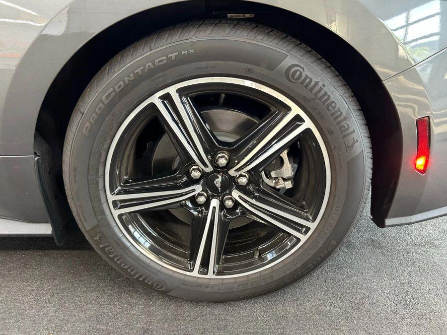 2025 Ford Mustang EcoBoost Coupe 2D, available for sale in Garfield, New Jersey | Urban Motors Collection. Garfield, New Jersey 2025 Ford Mustang EcoBoost Coupe 2D, available for sale in Garfield, New Jersey | Urban Motors Collection. Garfield, New Jersey
