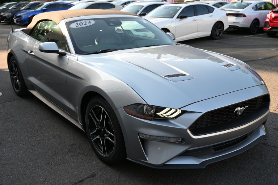 2023 Ford Mustang EcoBoost Premium Convertible, available for sale in Waterbury, Connecticut | Highline Car Connection. Waterbury, Connecticut 2023 Ford Mustang EcoBoost Premium Convertible, available for sale in Waterbury, Connecticut | Highline Car Connection. Waterbury, Connecticut