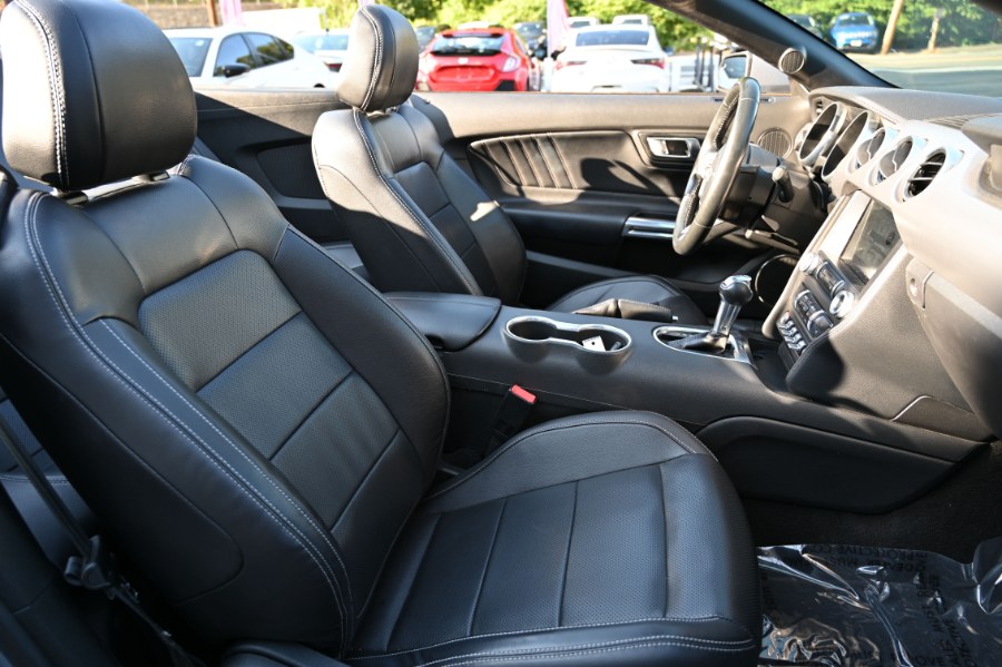 2023 Ford Mustang EcoBoost Premium Convertible, available for sale in Waterbury, Connecticut | Highline Car Connection. Waterbury, Connecticut 2023 Ford Mustang EcoBoost Premium Convertible, available for sale in Waterbury, Connecticut | Highline Car Connection. Waterbury, Connecticut