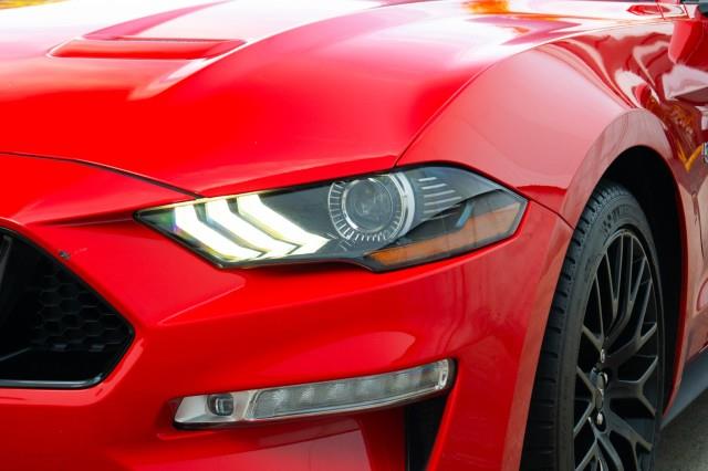 2019 Ford Mustang GT Premium, available for sale in Yonkers, New York | Westchester Auto Group. Yonkers, New York 2019 Ford Mustang GT Premium, available for sale in Yonkers, New York | Westchester Auto Group. Yonkers, New York