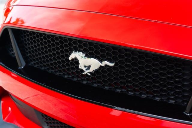2019 Ford Mustang GT Premium, available for sale in Yonkers, New York | Westchester Auto Group. Yonkers, New York 2019 Ford Mustang GT Premium, available for sale in Yonkers, New York | Westchester Auto Group. Yonkers, New York