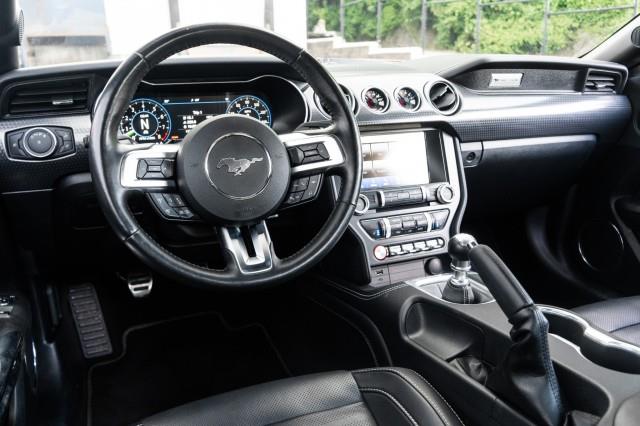 2019 Ford Mustang GT Premium, available for sale in Yonkers, New York | Westchester Auto Group. Yonkers, New York 2019 Ford Mustang GT Premium, available for sale in Yonkers, New York | Westchester Auto Group. Yonkers, New York