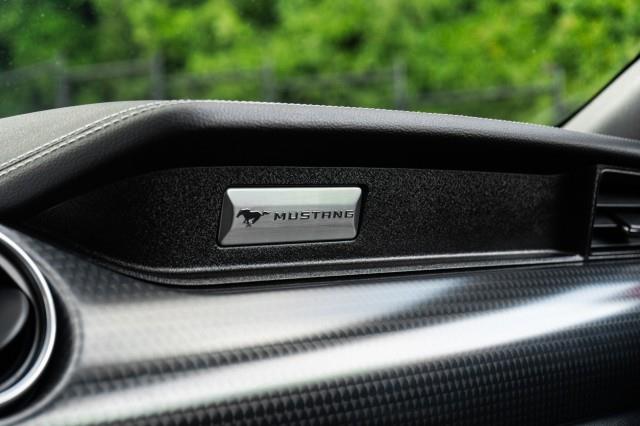 2019 Ford Mustang GT Premium, available for sale in Yonkers, New York | Westchester Auto Group. Yonkers, New York 2019 Ford Mustang GT Premium, available for sale in Yonkers, New York | Westchester Auto Group. Yonkers, New York