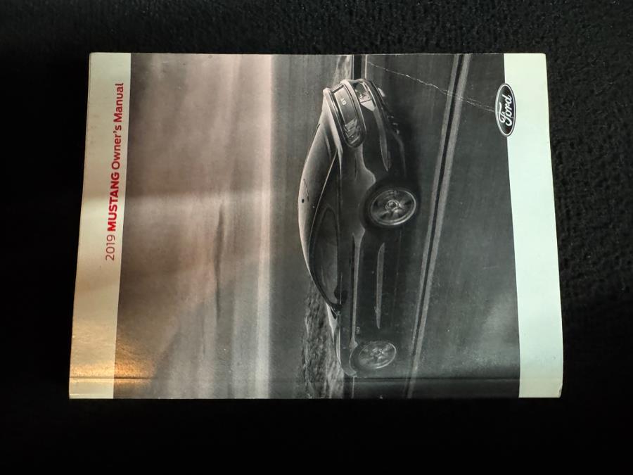 2019 Ford Mustang EcoBoost Premium Fastback, available for sale in West Babylon , New York | MP Motors Inc. West Babylon , New York 2019 Ford Mustang EcoBoost Premium Fastback, available for sale in West Babylon , New York | MP Motors Inc. West Babylon , New York