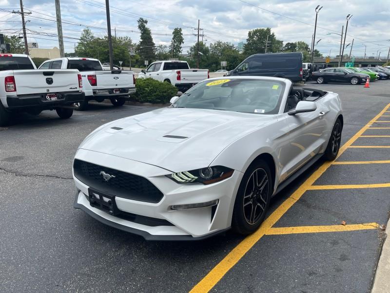 2023 Ford Mustang EcoBoost Premium CONVERTIBLE, available for sale in Maple Shade, New Jersey | Car Revolution. Maple Shade, New Jersey 2023 Ford Mustang EcoBoost Premium CONVERTIBLE, available for sale in Maple Shade, New Jersey | Car Revolution. Maple Shade, New Jersey