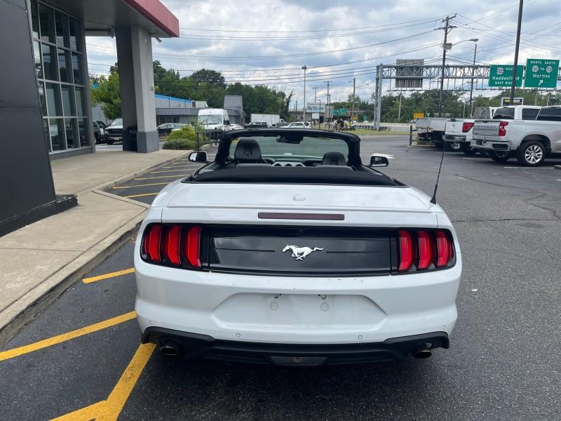 2023 Ford Mustang EcoBoost Premium CONVERTIBLE, available for sale in Maple Shade, New Jersey | Car Revolution. Maple Shade, New Jersey 2023 Ford Mustang EcoBoost Premium CONVERTIBLE, available for sale in Maple Shade, New Jersey | Car Revolution. Maple Shade, New Jersey