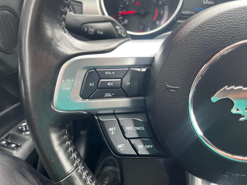 2023 Ford Mustang EcoBoost Premium CONVERTIBLE, available for sale in Maple Shade, New Jersey | Car Revolution. Maple Shade, New Jersey 2023 Ford Mustang EcoBoost Premium CONVERTIBLE, available for sale in Maple Shade, New Jersey | Car Revolution. Maple Shade, New Jersey