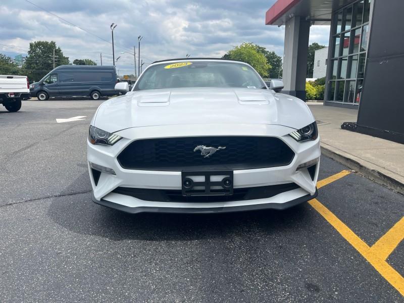 2023 Ford Mustang EcoBoost Premium CONVERTIBLE, available for sale in Maple Shade, New Jersey | Car Revolution. Maple Shade, New Jersey 2023 Ford Mustang EcoBoost Premium CONVERTIBLE, available for sale in Maple Shade, New Jersey | Car Revolution. Maple Shade, New Jersey