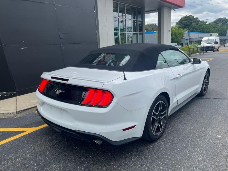 2023 Ford Mustang EcoBoost Premium CONVERTIBLE, available for sale in Maple Shade, New Jersey | Car Revolution. Maple Shade, New Jersey 2023 Ford Mustang EcoBoost Premium CONVERTIBLE, available for sale in Maple Shade, New Jersey | Car Revolution. Maple Shade, New Jersey
