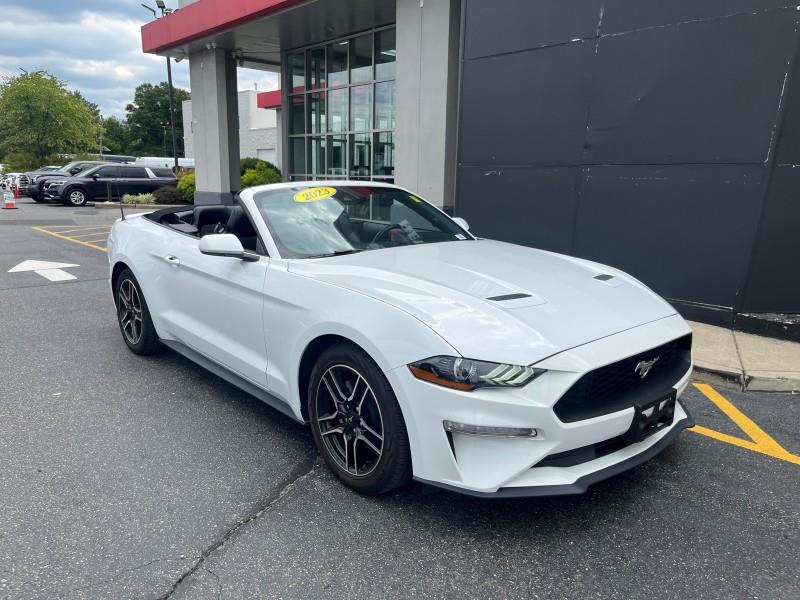 2023 Ford Mustang EcoBoost Premium CONVERTIBLE, available for sale in Maple Shade, New Jersey | Car Revolution. Maple Shade, New Jersey 2023 Ford Mustang EcoBoost Premium CONVERTIBLE, available for sale in Maple Shade, New Jersey | Car Revolution. Maple Shade, New Jersey