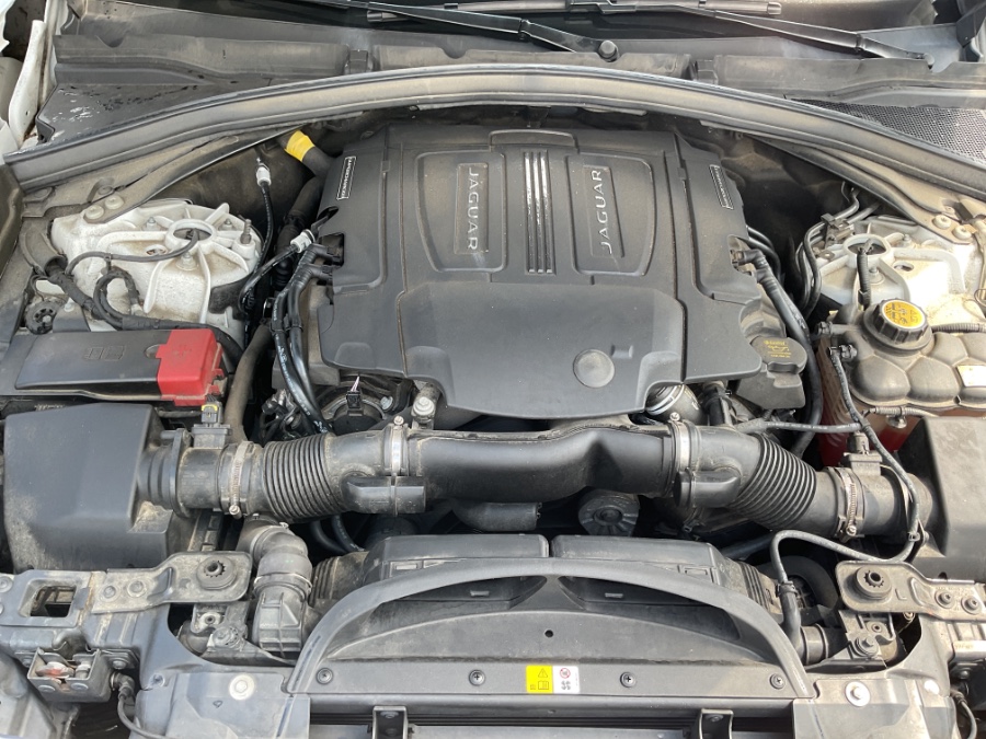 2019 Jaguar F-PACE S AWD, available for sale in Waterbury, Connecticut | Jim Juliani Motors. Waterbury, Connecticut 2019 Jaguar F-PACE S AWD, available for sale in Waterbury, Connecticut | Jim Juliani Motors. Waterbury, Connecticut