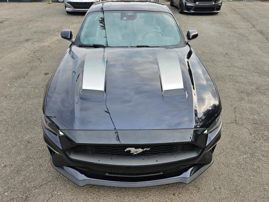 2021 Ford Mustang EcoBoost Premium Fastback, available for sale in Paterson, New Jersey | Champion of Paterson. Paterson, New Jersey 2021 Ford Mustang EcoBoost Premium Fastback, available for sale in Paterson, New Jersey | Champion of Paterson. Paterson, New Jersey