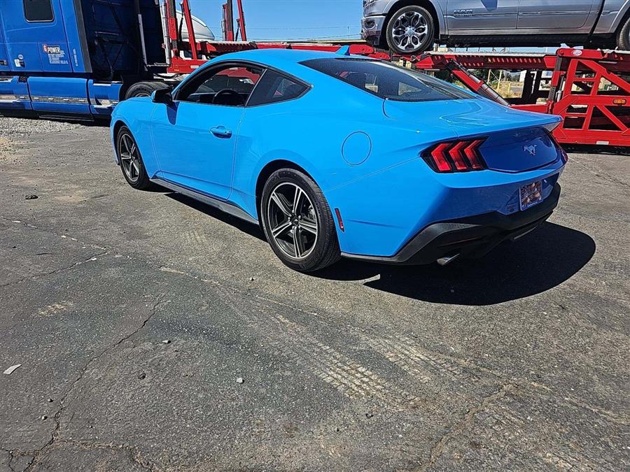 2024 Ford Mustang EcoBoost, available for sale in Woodside, New York | Drive Central. Woodside, New York 2024 Ford Mustang EcoBoost, available for sale in Woodside, New York | Drive Central. Woodside, New York