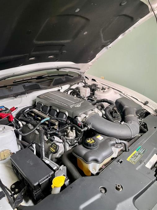2010 Ford Mustang 2dr Cpe GT Premium, available for sale in Milford, Connecticut | Village Auto Sales. Milford, Connecticut 2010 Ford Mustang 2dr Cpe GT Premium, available for sale in Milford, Connecticut | Village Auto Sales. Milford, Connecticut