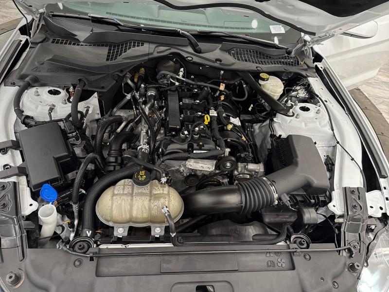 2023 Ford Mustang EcoBoost Premium CONVERTIBLE, available for sale in Maple Shade, New Jersey | Car Revolution. Maple Shade, New Jersey 2023 Ford Mustang EcoBoost Premium CONVERTIBLE, available for sale in Maple Shade, New Jersey | Car Revolution. Maple Shade, New Jersey