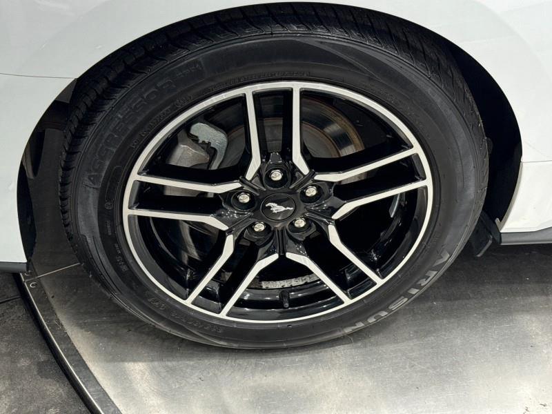 2023 Ford Mustang EcoBoost Premium CONVERTIBLE, available for sale in Maple Shade, New Jersey | Car Revolution. Maple Shade, New Jersey 2023 Ford Mustang EcoBoost Premium CONVERTIBLE, available for sale in Maple Shade, New Jersey | Car Revolution. Maple Shade, New Jersey