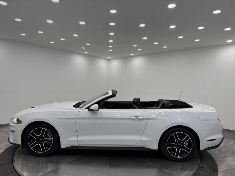 2023 Ford Mustang EcoBoost Premium CONVERTIBLE, available for sale in Maple Shade, New Jersey | Car Revolution. Maple Shade, New Jersey 2023 Ford Mustang EcoBoost Premium CONVERTIBLE, available for sale in Maple Shade, New Jersey | Car Revolution. Maple Shade, New Jersey