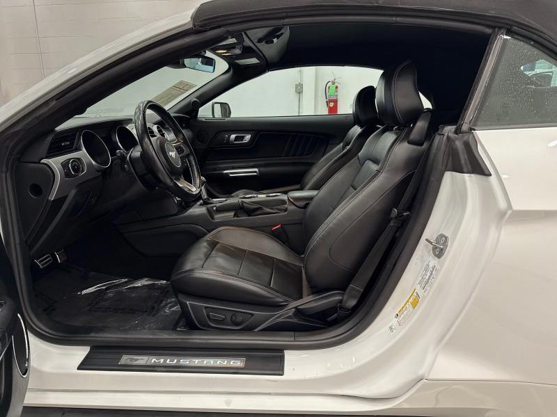 2023 Ford Mustang EcoBoost Premium CONVERTIBLE, available for sale in Maple Shade, New Jersey | Car Revolution. Maple Shade, New Jersey 2023 Ford Mustang EcoBoost Premium CONVERTIBLE, available for sale in Maple Shade, New Jersey | Car Revolution. Maple Shade, New Jersey