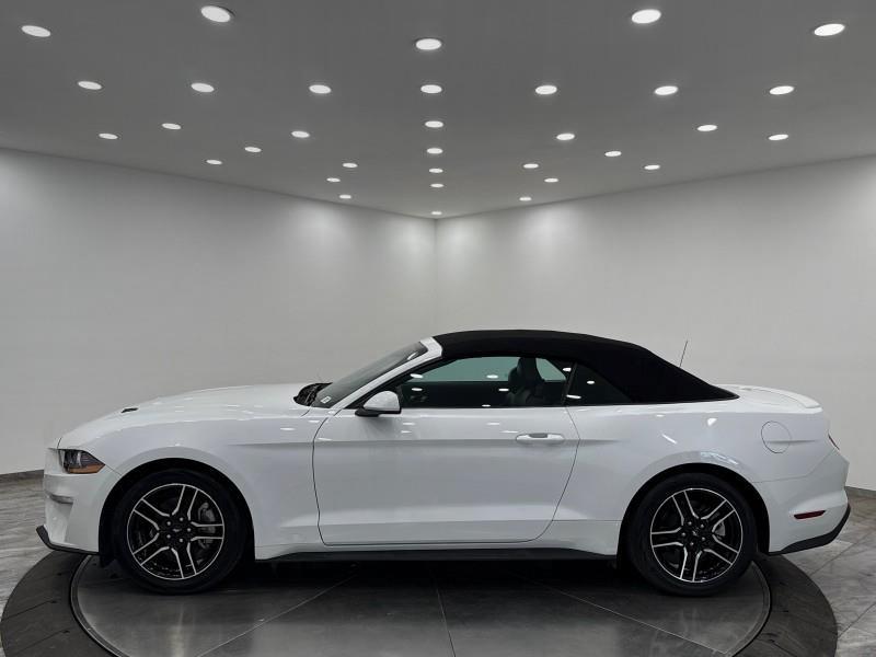 2023 Ford Mustang EcoBoost Premium CONVERTIBLE, available for sale in Maple Shade, New Jersey | Car Revolution. Maple Shade, New Jersey 2023 Ford Mustang EcoBoost Premium CONVERTIBLE, available for sale in Maple Shade, New Jersey | Car Revolution. Maple Shade, New Jersey