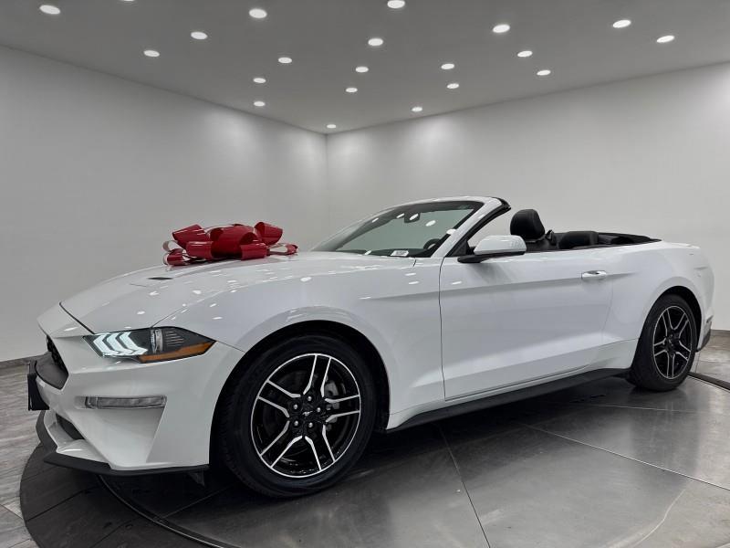 2023 Ford Mustang EcoBoost Premium CONVERTIBLE, available for sale in Maple Shade, New Jersey | Car Revolution. Maple Shade, New Jersey 2023 Ford Mustang EcoBoost Premium CONVERTIBLE, available for sale in Maple Shade, New Jersey | Car Revolution. Maple Shade, New Jersey