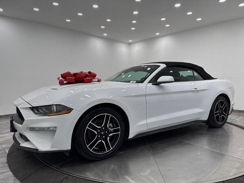 2023 Ford Mustang EcoBoost Premium CONVERTIBLE, available for sale in Maple Shade, New Jersey | Car Revolution. Maple Shade, New Jersey 2023 Ford Mustang EcoBoost Premium CONVERTIBLE, available for sale in Maple Shade, New Jersey | Car Revolution. Maple Shade, New Jersey