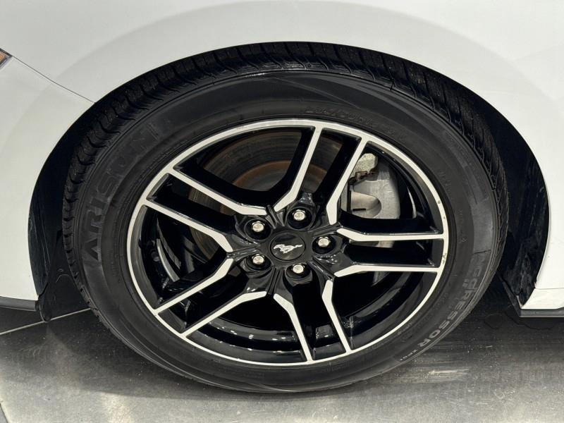 2023 Ford Mustang EcoBoost Premium CONVERTIBLE, available for sale in Maple Shade, New Jersey | Car Revolution. Maple Shade, New Jersey 2023 Ford Mustang EcoBoost Premium CONVERTIBLE, available for sale in Maple Shade, New Jersey | Car Revolution. Maple Shade, New Jersey