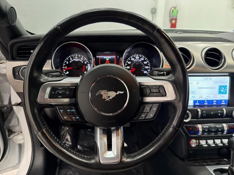 2023 Ford Mustang EcoBoost Premium CONVERTIBLE, available for sale in Maple Shade, New Jersey | Car Revolution. Maple Shade, New Jersey 2023 Ford Mustang EcoBoost Premium CONVERTIBLE, available for sale in Maple Shade, New Jersey | Car Revolution. Maple Shade, New Jersey