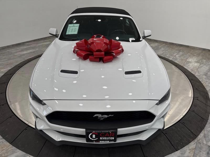 2023 Ford Mustang EcoBoost Premium CONVERTIBLE, available for sale in Maple Shade, New Jersey | Car Revolution. Maple Shade, New Jersey 2023 Ford Mustang EcoBoost Premium CONVERTIBLE, available for sale in Maple Shade, New Jersey | Car Revolution. Maple Shade, New Jersey