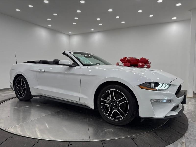 2023 Ford Mustang EcoBoost Premium CONVERTIBLE, available for sale in Maple Shade, New Jersey | Car Revolution. Maple Shade, New Jersey 2023 Ford Mustang EcoBoost Premium CONVERTIBLE, available for sale in Maple Shade, New Jersey | Car Revolution. Maple Shade, New Jersey