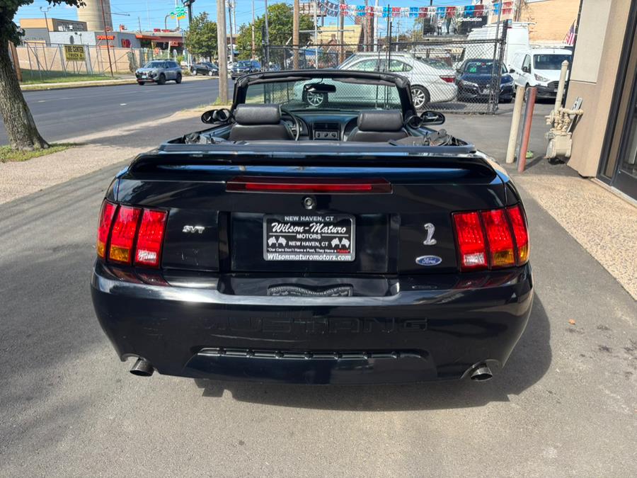 1999 Ford Mustang 2dr Convertible SVT Cobra, available for sale in New haven, Connecticut | Wilson Maturo Motors. New haven, Connecticut 1999 Ford Mustang 2dr Convertible SVT Cobra, available for sale in New haven, Connecticut | Wilson Maturo Motors. New haven, Connecticut