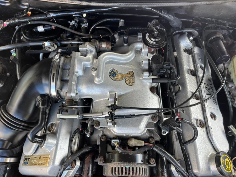 1999 Ford Mustang 2dr Convertible SVT Cobra, available for sale in New haven, Connecticut | Wilson Maturo Motors. New haven, Connecticut 1999 Ford Mustang 2dr Convertible SVT Cobra, available for sale in New haven, Connecticut | Wilson Maturo Motors. New haven, Connecticut