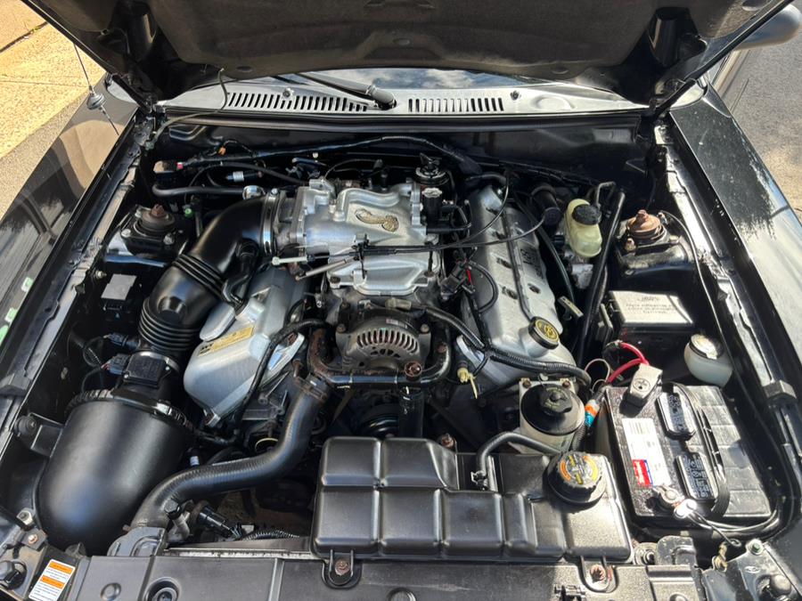 1999 Ford Mustang 2dr Convertible SVT Cobra, available for sale in New haven, Connecticut | Wilson Maturo Motors. New haven, Connecticut 1999 Ford Mustang 2dr Convertible SVT Cobra, available for sale in New haven, Connecticut | Wilson Maturo Motors. New haven, Connecticut
