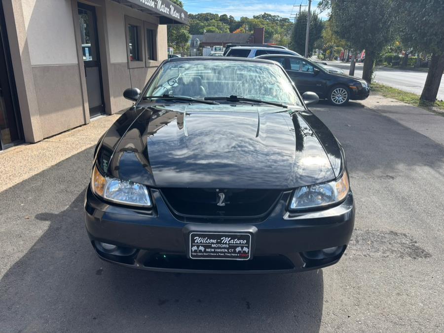 1999 Ford Mustang 2dr Convertible SVT Cobra, available for sale in New haven, Connecticut | Wilson Maturo Motors. New haven, Connecticut 1999 Ford Mustang 2dr Convertible SVT Cobra, available for sale in New haven, Connecticut | Wilson Maturo Motors. New haven, Connecticut