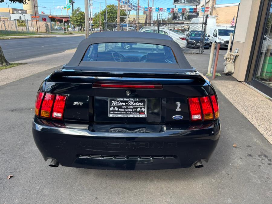 1999 Ford Mustang 2dr Convertible SVT Cobra, available for sale in New haven, Connecticut | Wilson Maturo Motors. New haven, Connecticut 1999 Ford Mustang 2dr Convertible SVT Cobra, available for sale in New haven, Connecticut | Wilson Maturo Motors. New haven, Connecticut