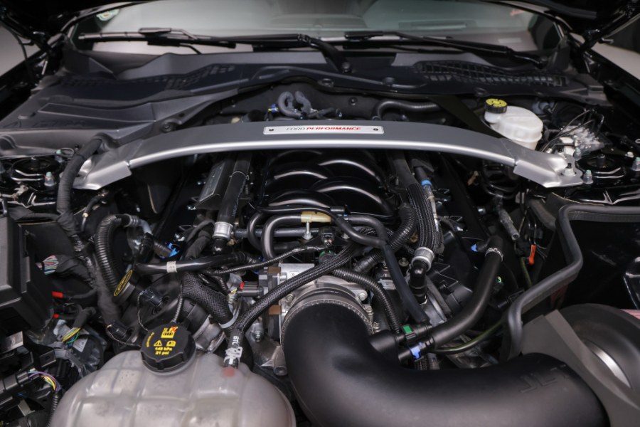 2019 Ford Mustang Shelby GT350 Fastback, available for sale in North Salem, New York | Meccanic Shop North Inc. North Salem, New York 2019 Ford Mustang Shelby GT350 Fastback, available for sale in North Salem, New York | Meccanic Shop North Inc. North Salem, New York