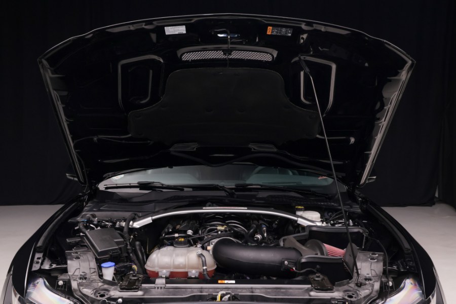 2019 Ford Mustang Shelby GT350 Fastback, available for sale in North Salem, New York | Meccanic Shop North Inc. North Salem, New York 2019 Ford Mustang Shelby GT350 Fastback, available for sale in North Salem, New York | Meccanic Shop North Inc. North Salem, New York