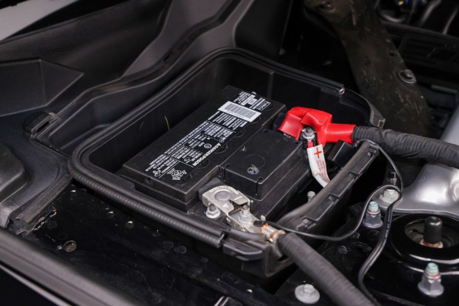 2019 Ford Mustang Shelby GT350 Fastback, available for sale in North Salem, New York | Meccanic Shop North Inc. North Salem, New York 2019 Ford Mustang Shelby GT350 Fastback, available for sale in North Salem, New York | Meccanic Shop North Inc. North Salem, New York