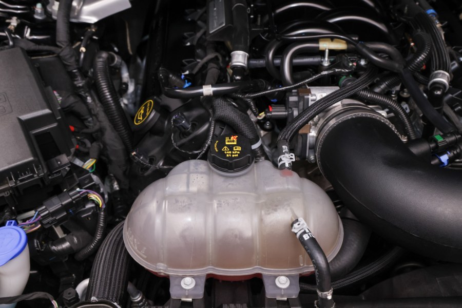 2019 Ford Mustang Shelby GT350 Fastback, available for sale in North Salem, New York | Meccanic Shop North Inc. North Salem, New York 2019 Ford Mustang Shelby GT350 Fastback, available for sale in North Salem, New York | Meccanic Shop North Inc. North Salem, New York