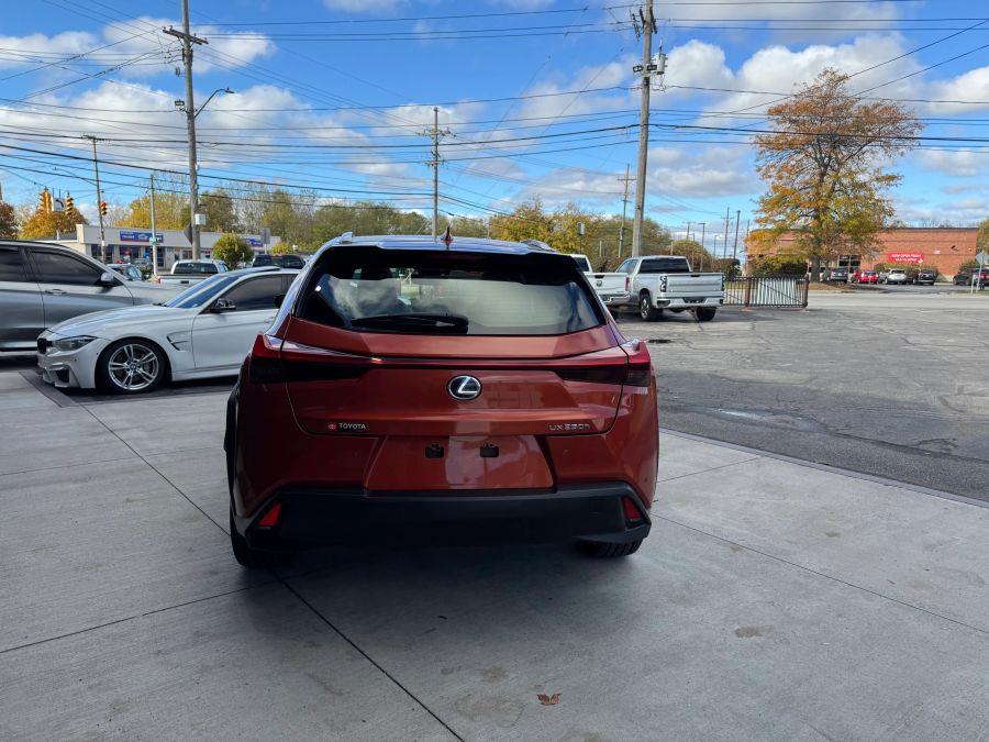 2020 Lexus UX 250h Premium photo 4