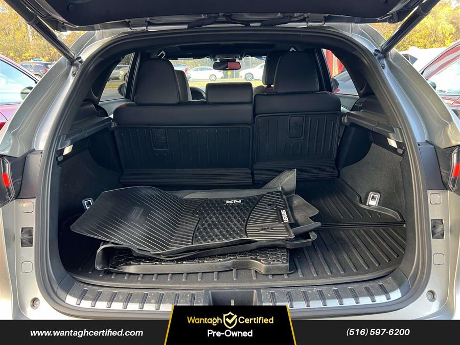 2020 Lexus NX 300 F SPORT AWD photo 4